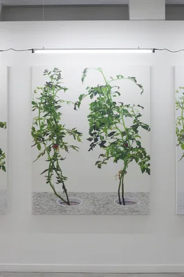 20150226 Alex Fischer 1 7 and 6000 O'Born Contemporary 50 VII 陈文波 Chen Wen Bo documentation.jpg